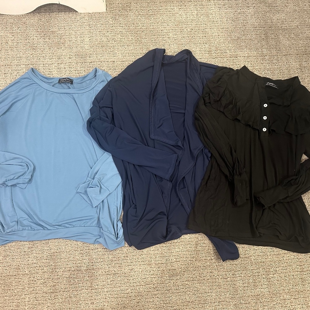 Women’s lot of 3 Brigitte Brianna long sleeve tops. Size large.